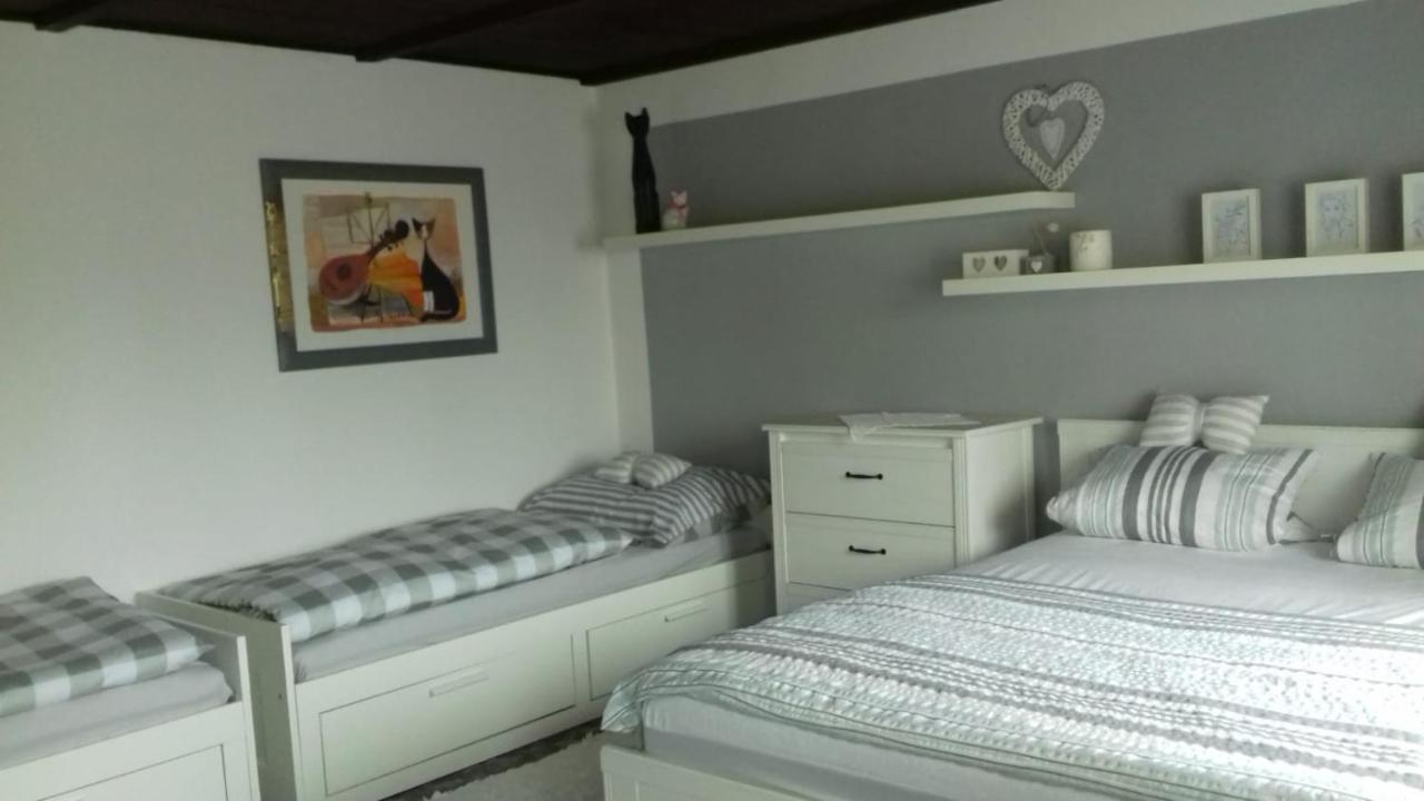 Apartmany Na Hline Тршебонь Екстер'єр фото